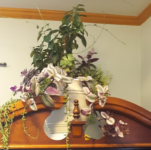 Meet your Posher, Sara - Picture 1 of 1